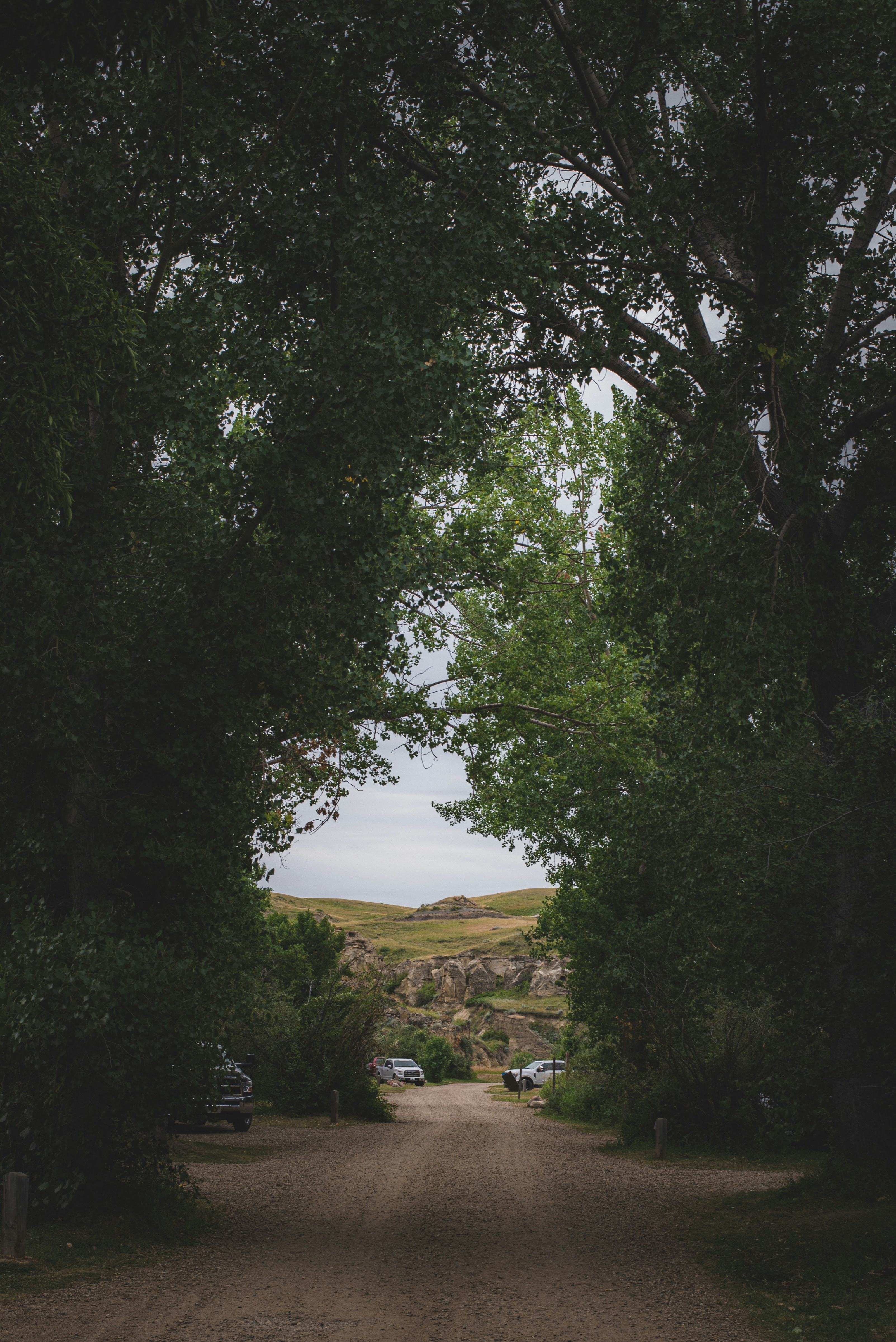 Photo by ryunosuke_kikuno