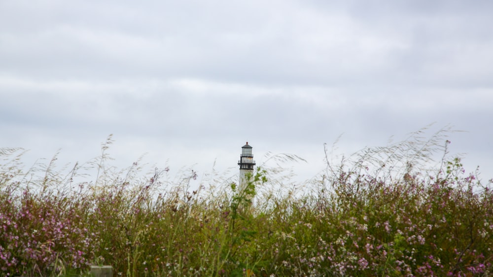 white and black lighthouse on green grass field under white cloudy sky during daytime