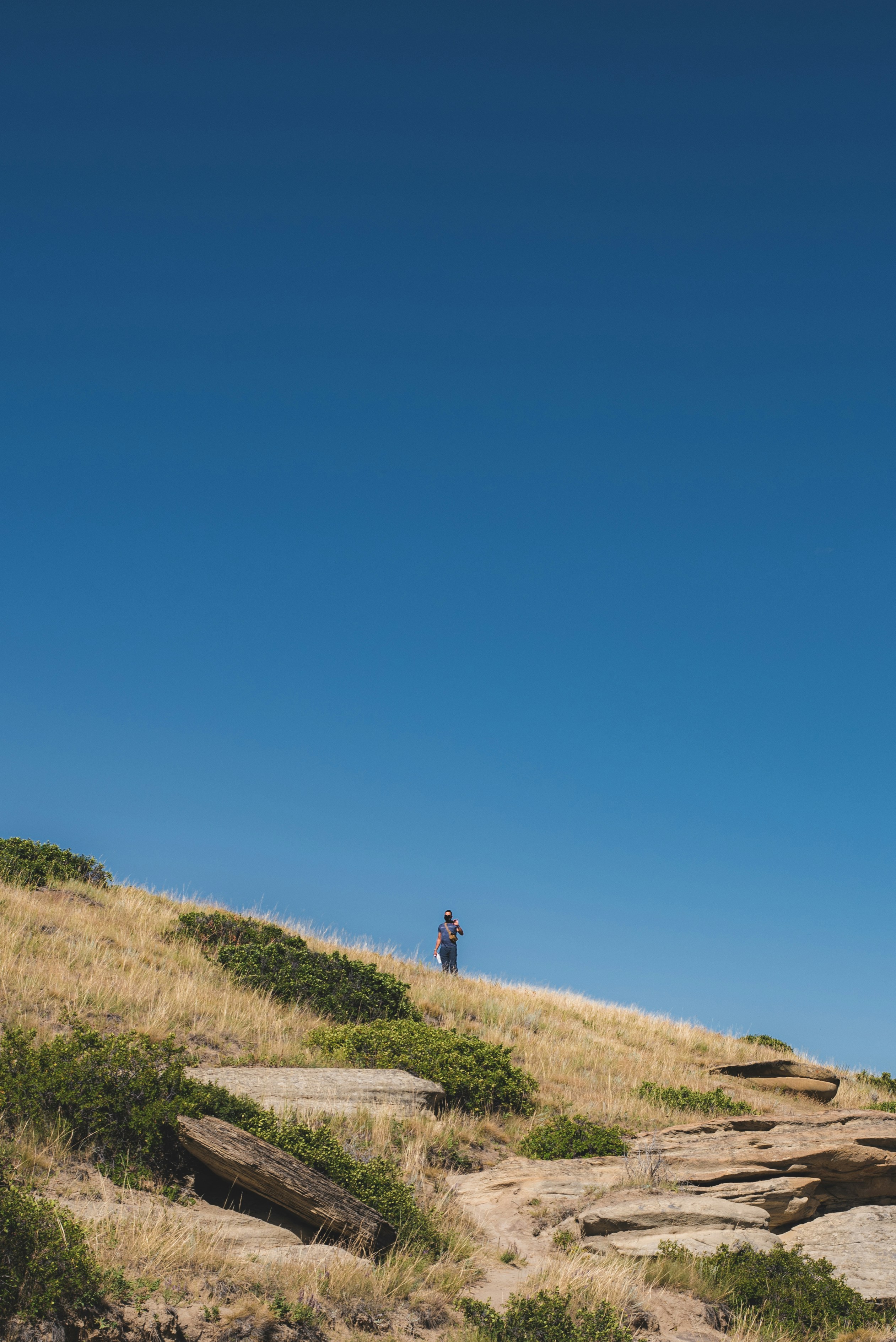 Photo by ryunosuke_kikuno