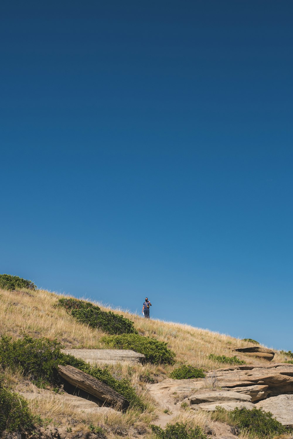 person walking on green grass field under blue sky during daytime