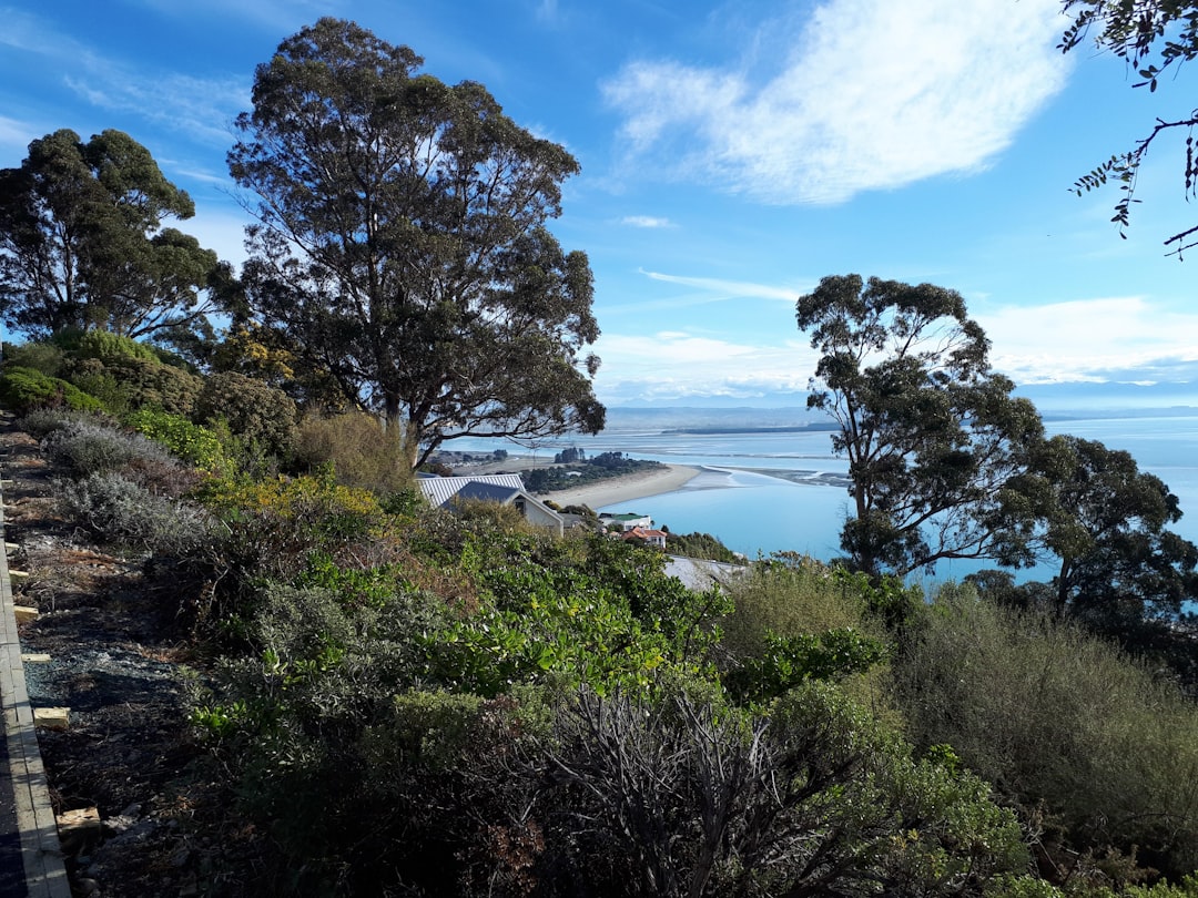 Nature reserve photo spot Tahunanui Beach Picton