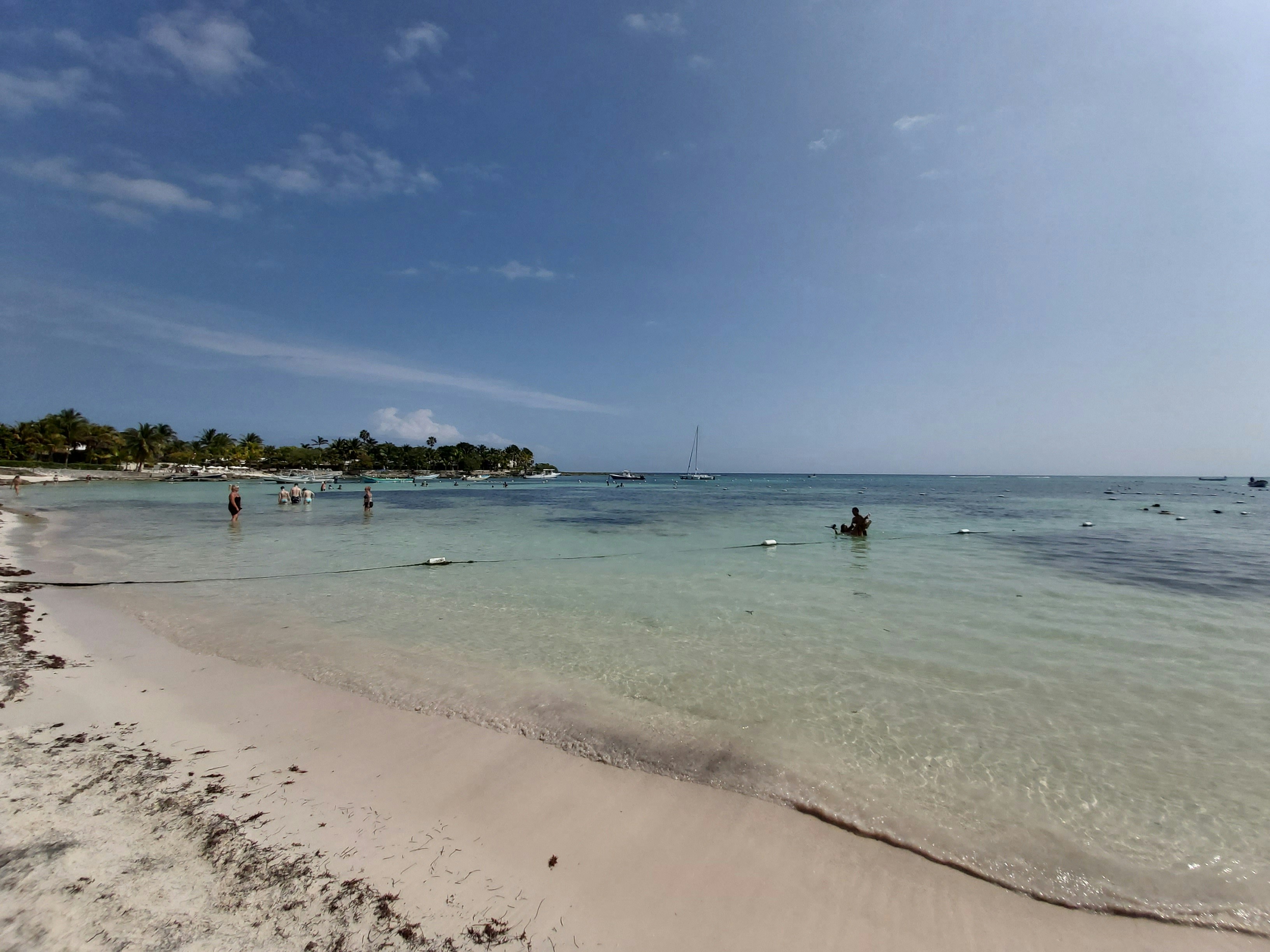people on beach during daytime