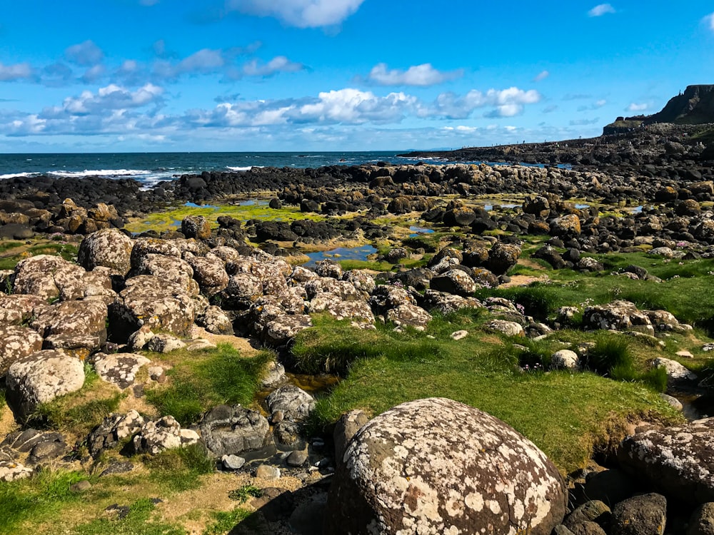 gray rocks on green grass field near body of water during daytime