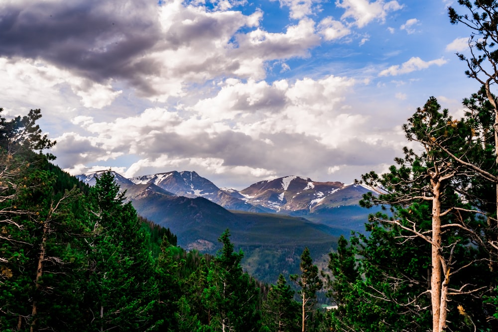 green trees near snow covered mountains under cloudy sky during daytime