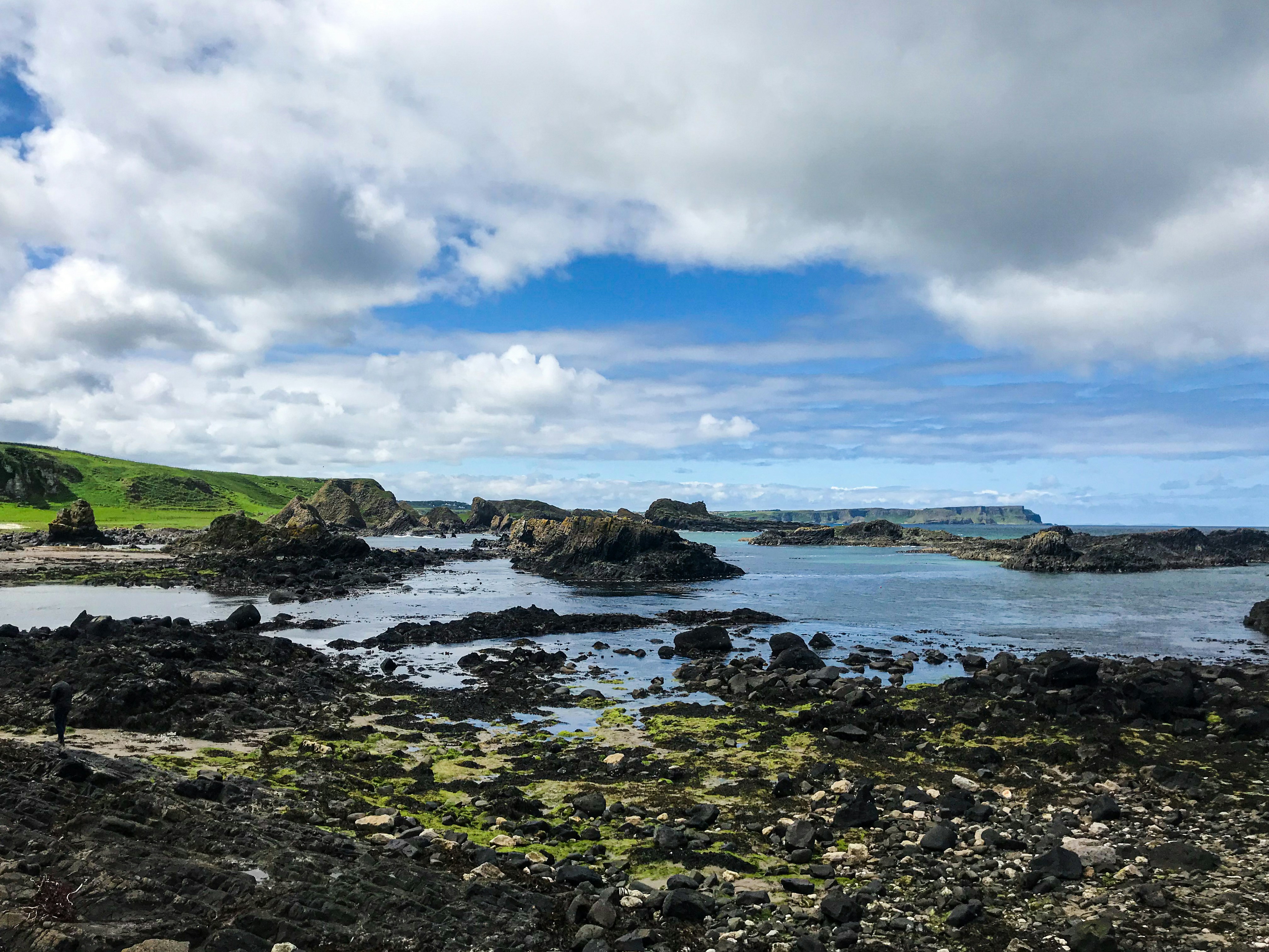 green grass field near body of water under blue sky during daytime