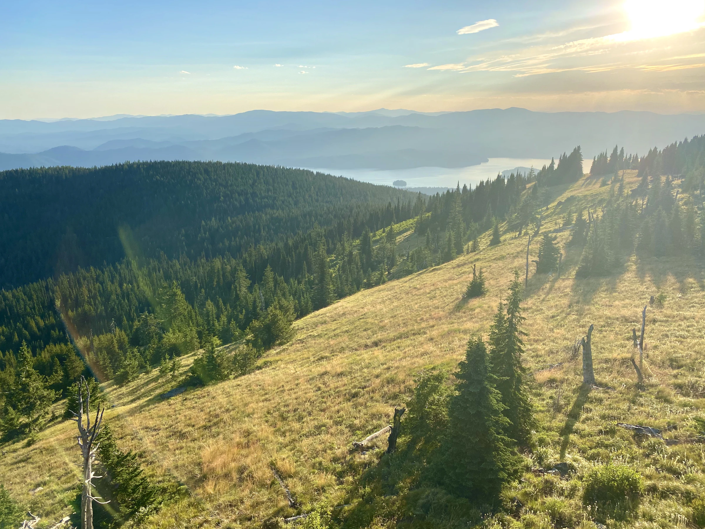 Photo by Nick Owens on Unsplash