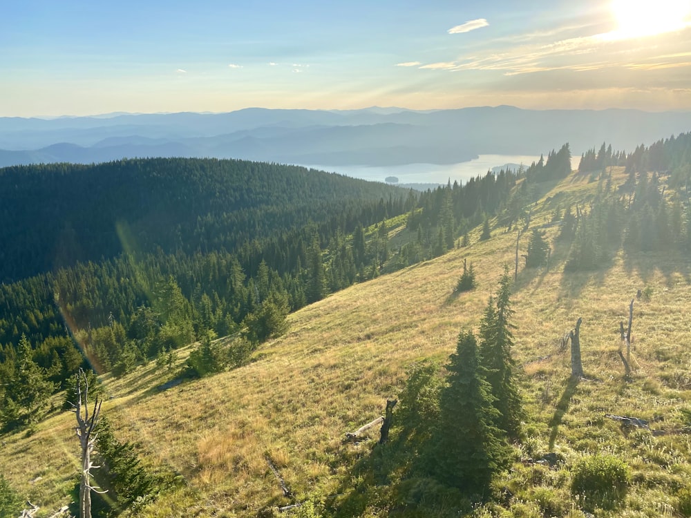 green trees on brown mountain under blue sky during daytime