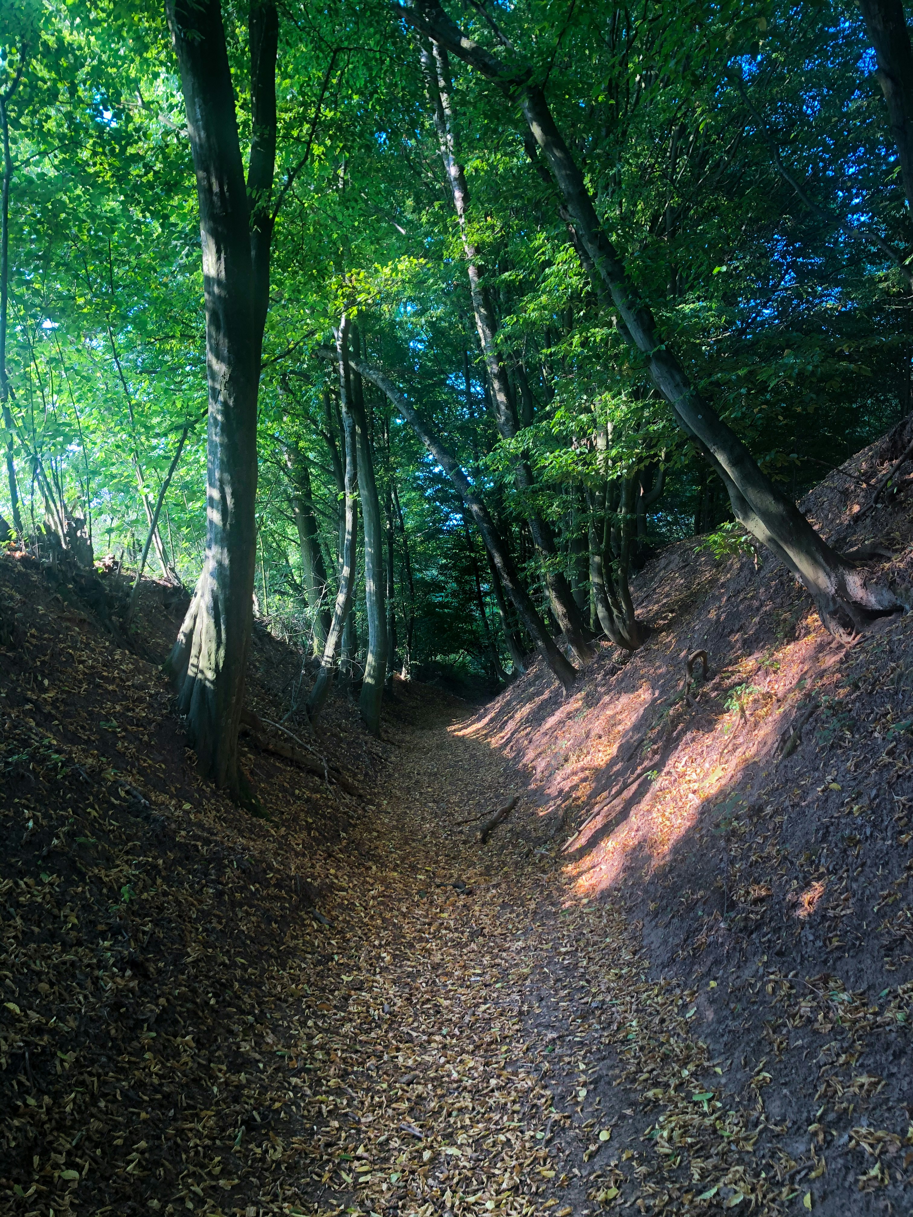 Photo by jindrichsamec