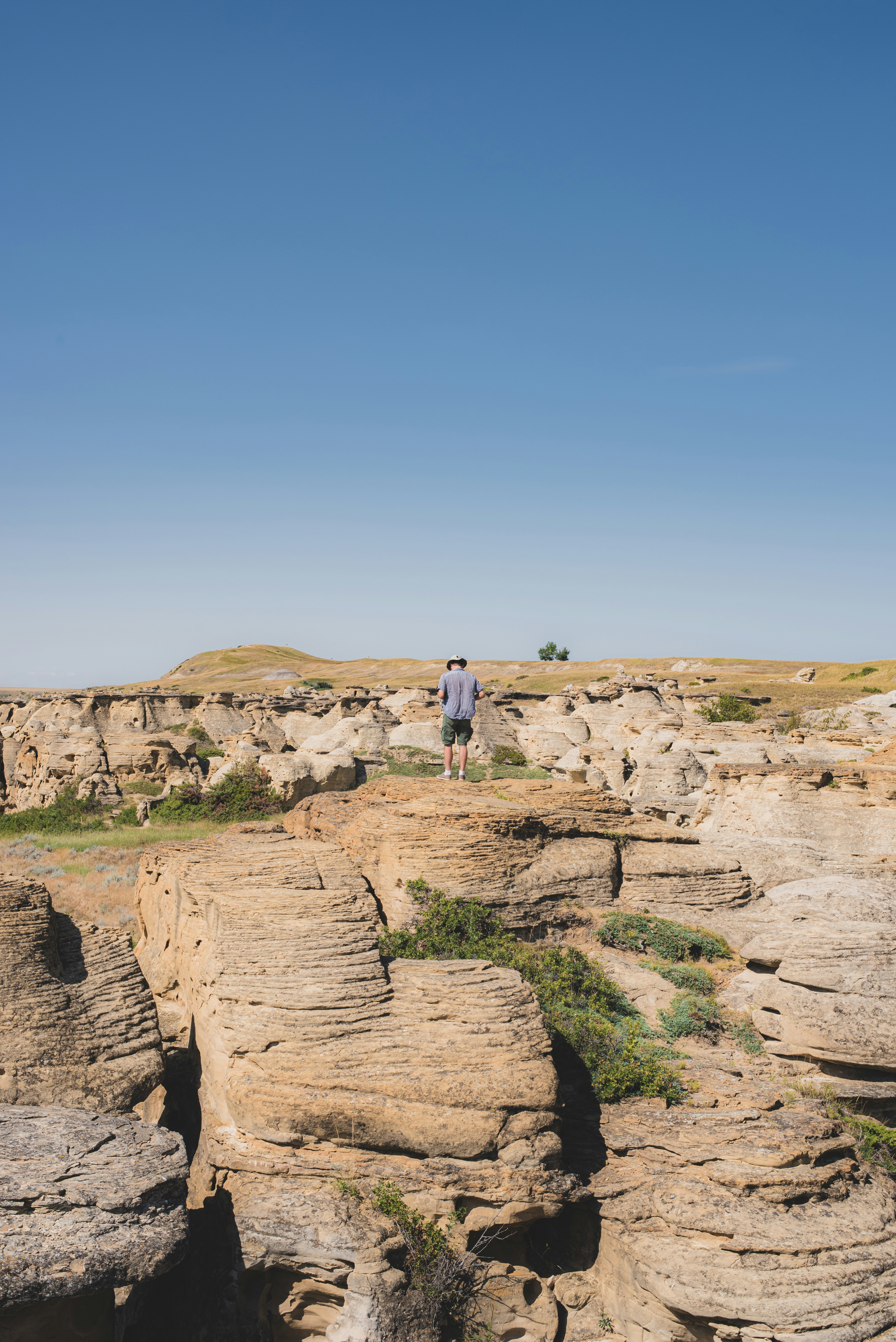 Photo by ryunosuke_kikuno