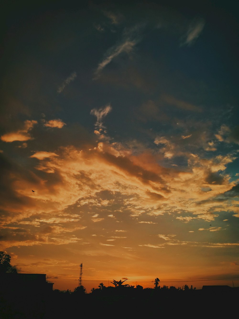 silhueta de árvores sob o céu nublado durante o pôr do sol