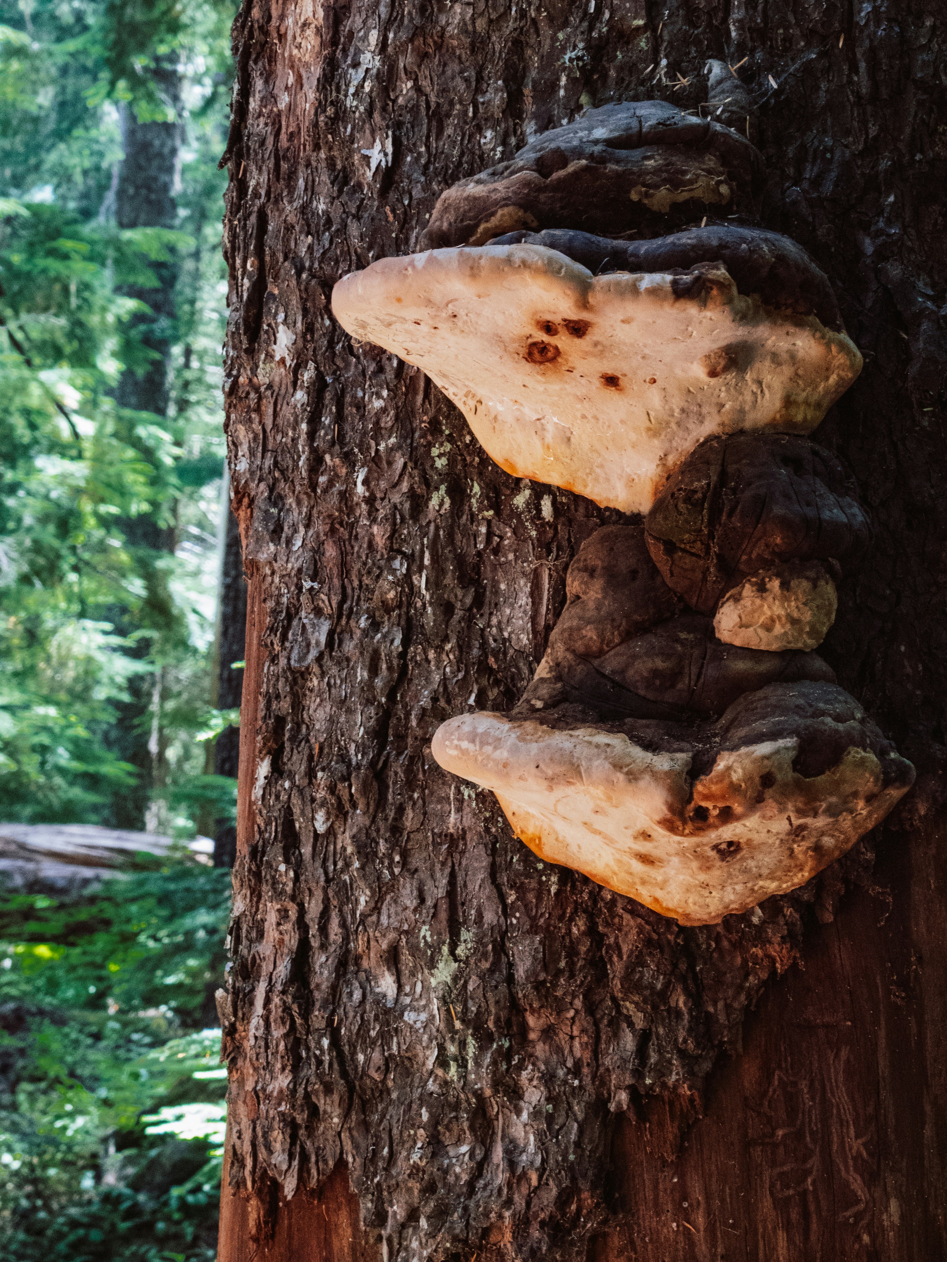 Photo by nearlywinter