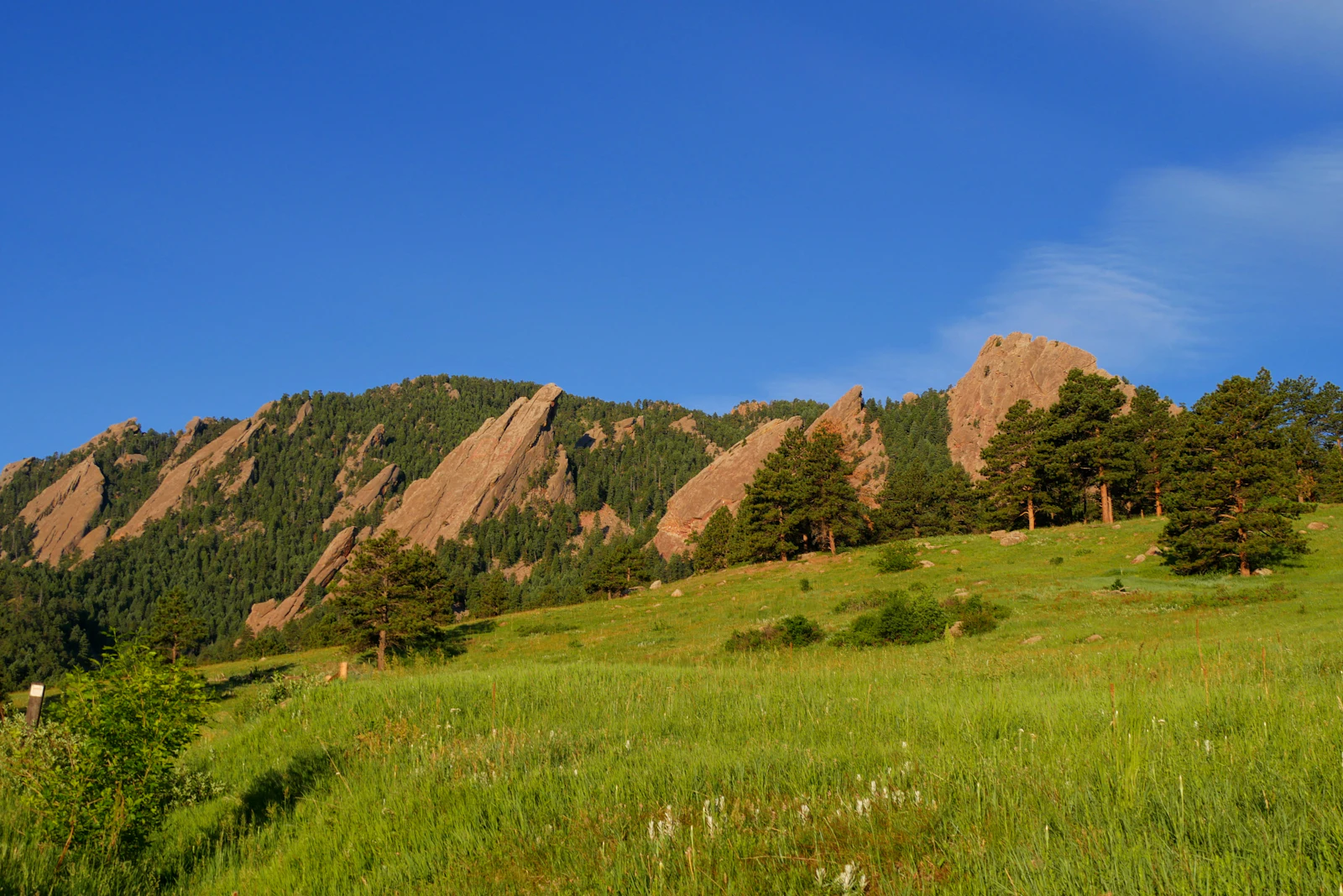 Green field below the Flatirons in Boulder, Colorado under a blue sky