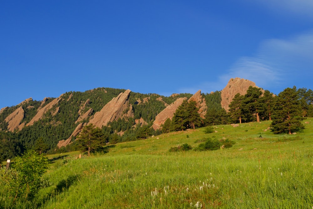 green grass field near brown mountain under blue sky during daytime