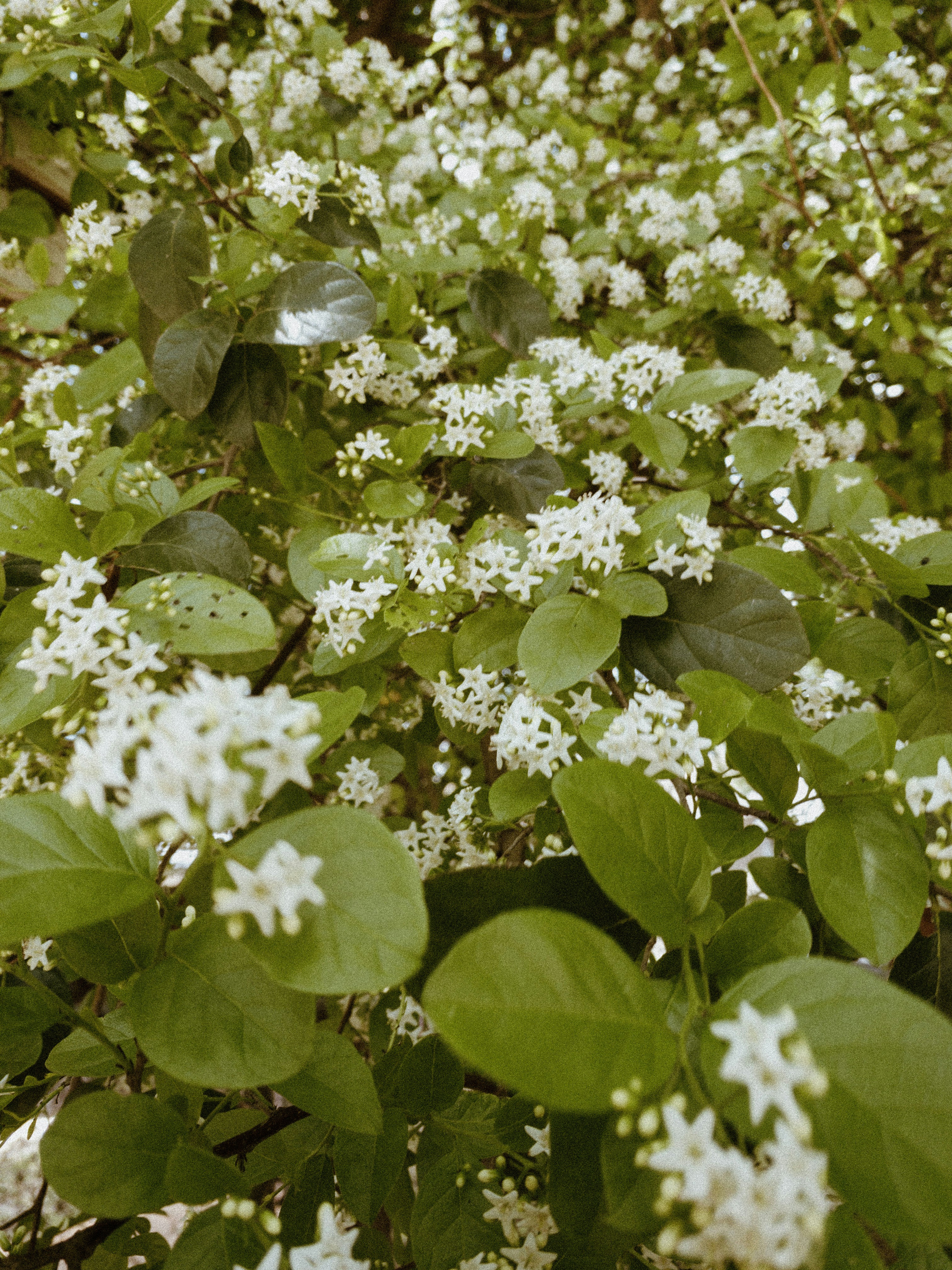 Photo by benignohoyuela