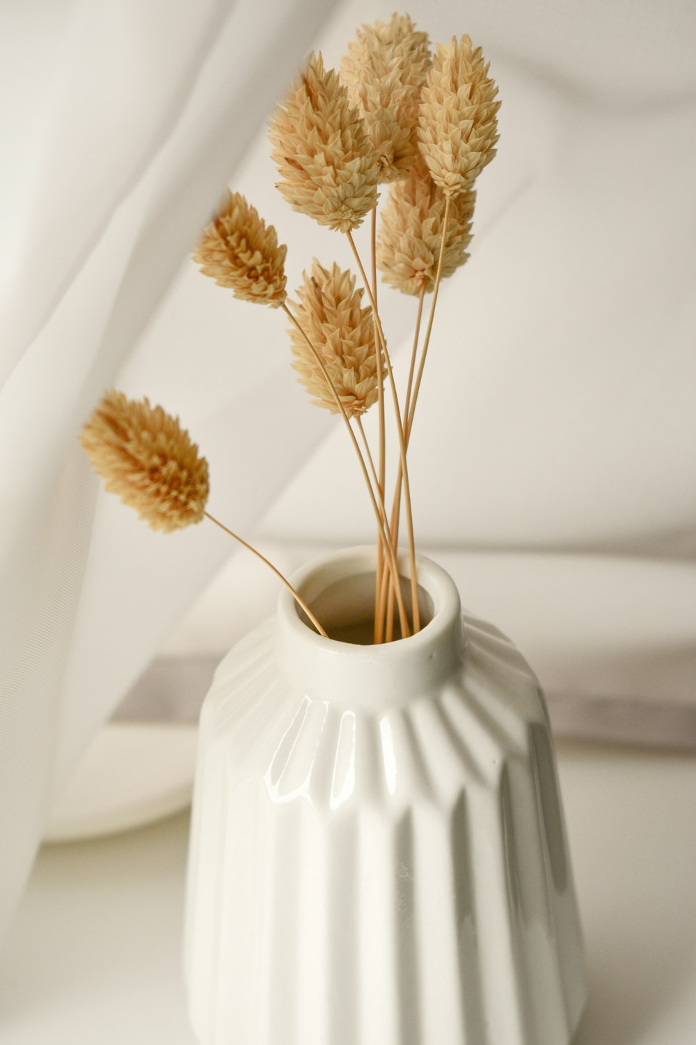 brown and white flower in white ceramic vase