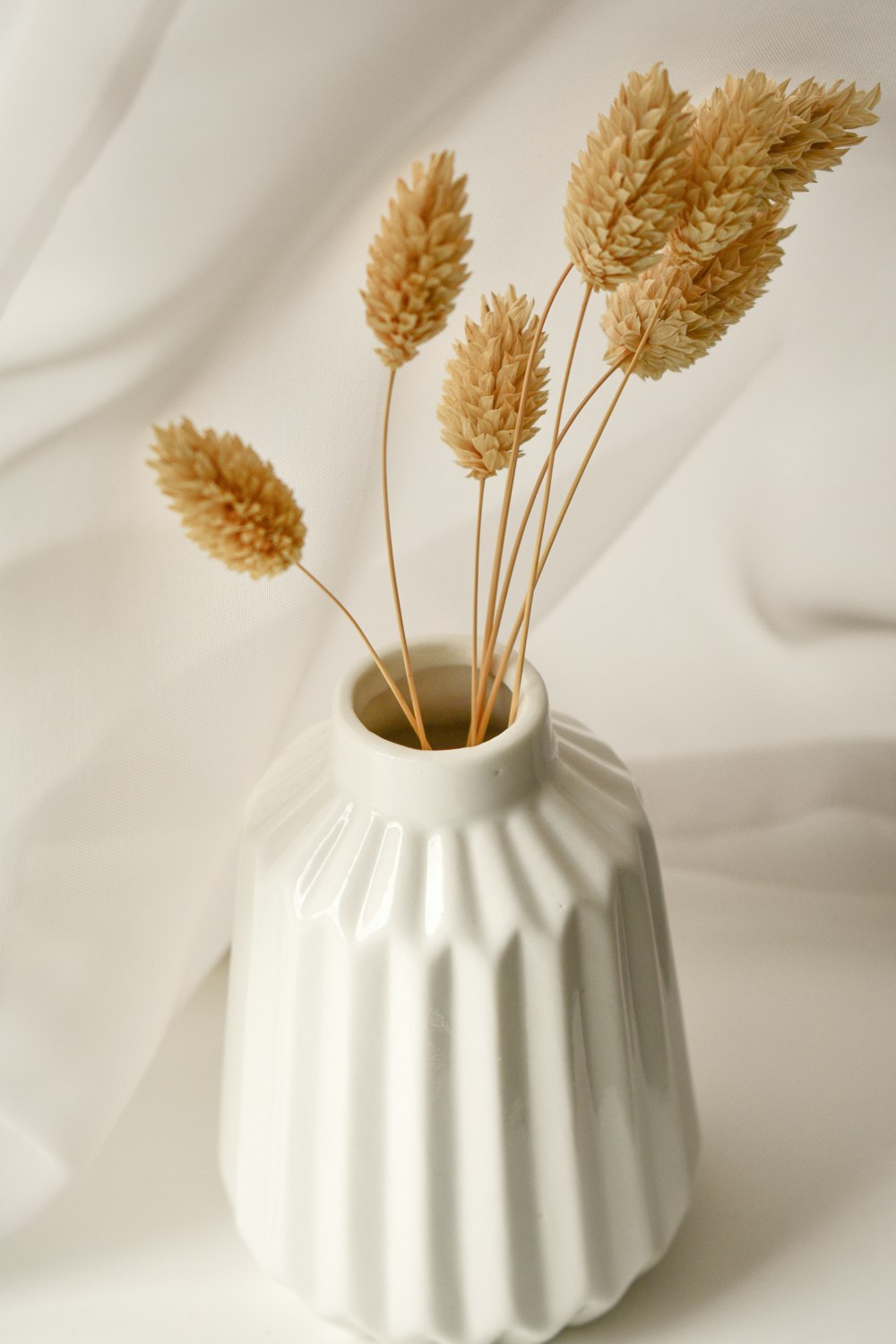 brown flowers in white ceramic vase