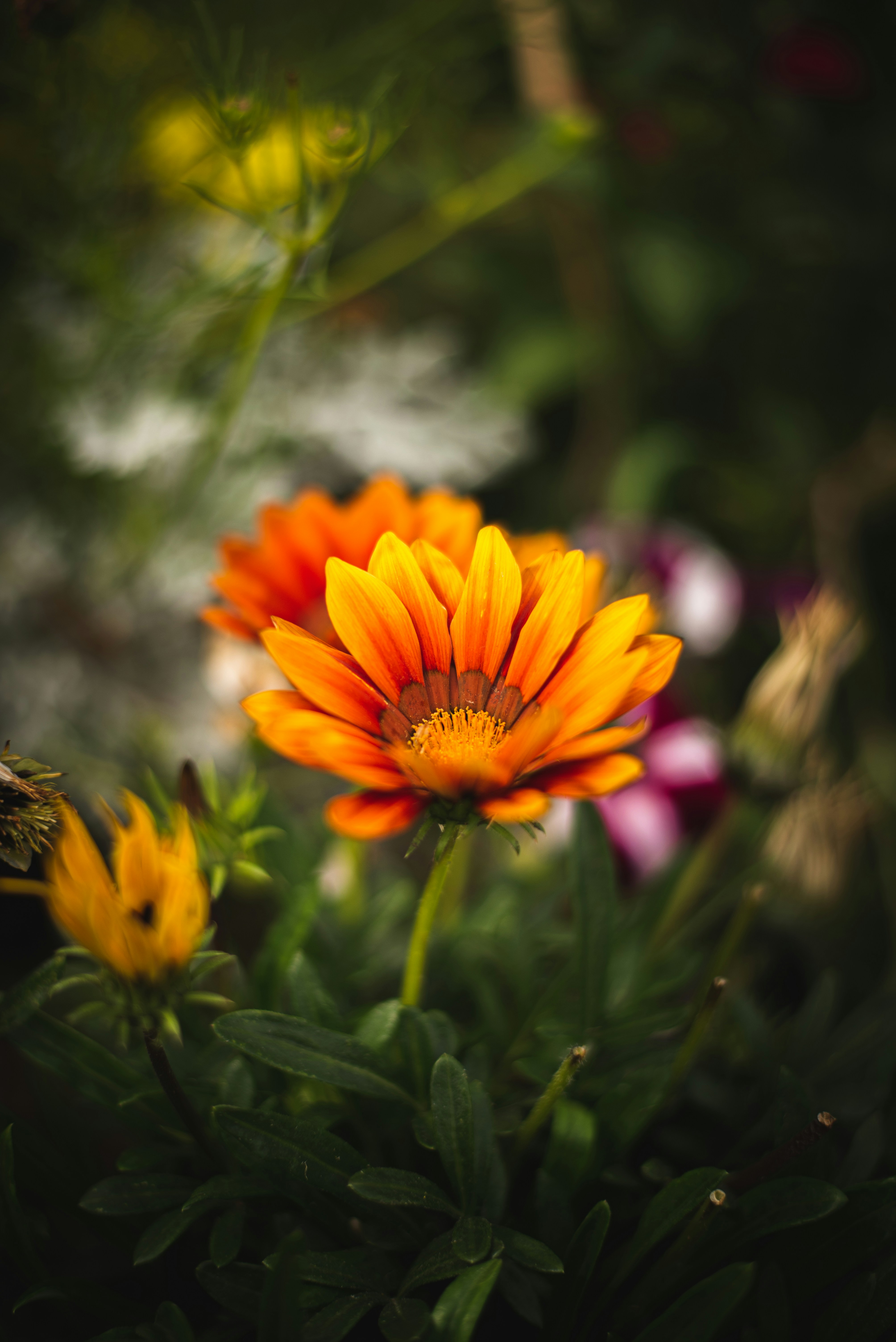 Photo by ryunosuke_kikuno