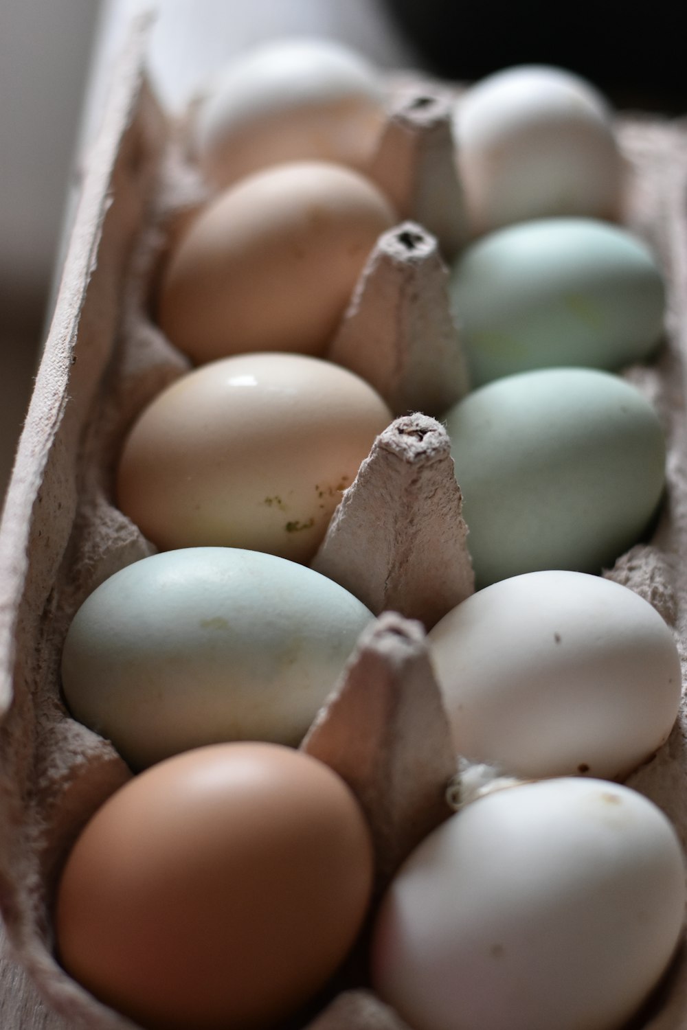 white egg on brown egg tray
