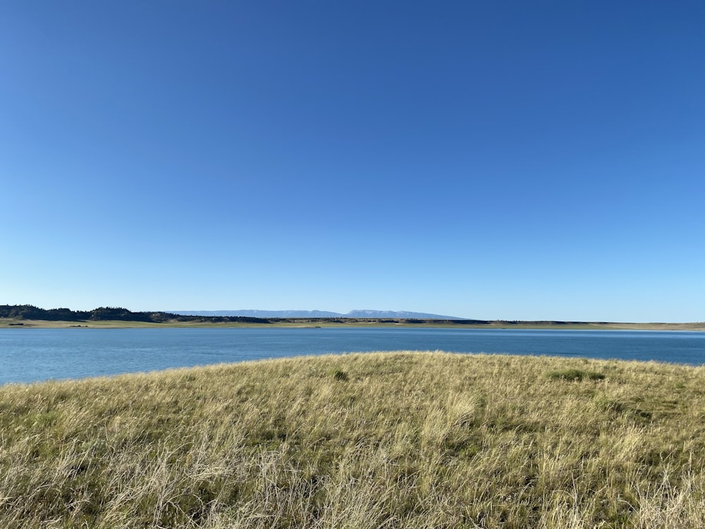 green grass field near body of water during daytime