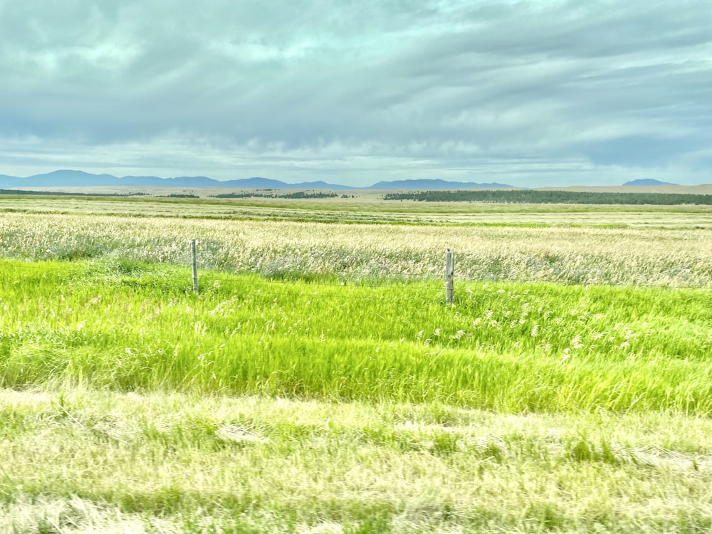 green grass field under white clouds during daytime