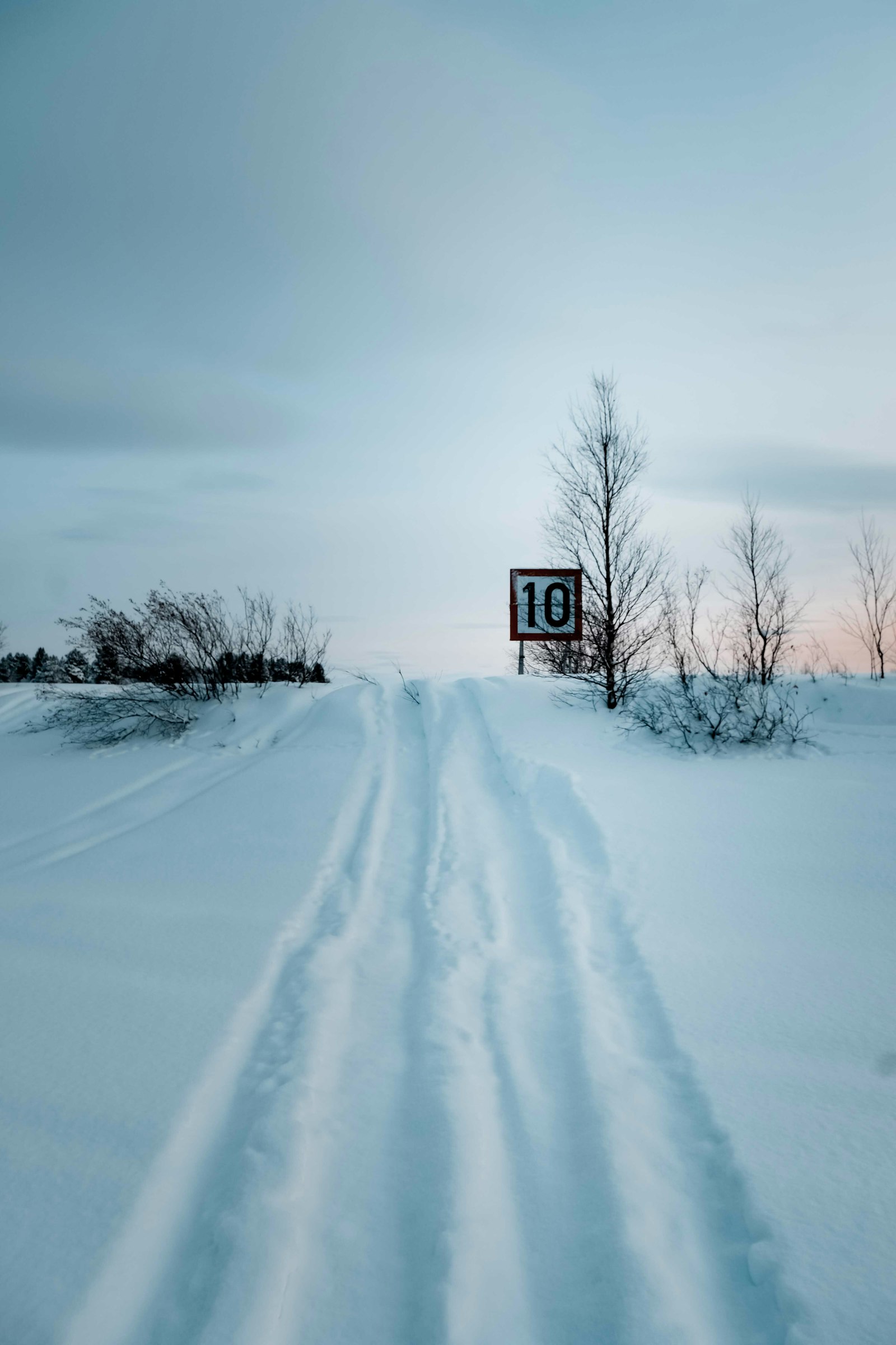 Fujifilm XF 8-16mm F2.8 R LM WR sample photo. Bare trees on snow photography