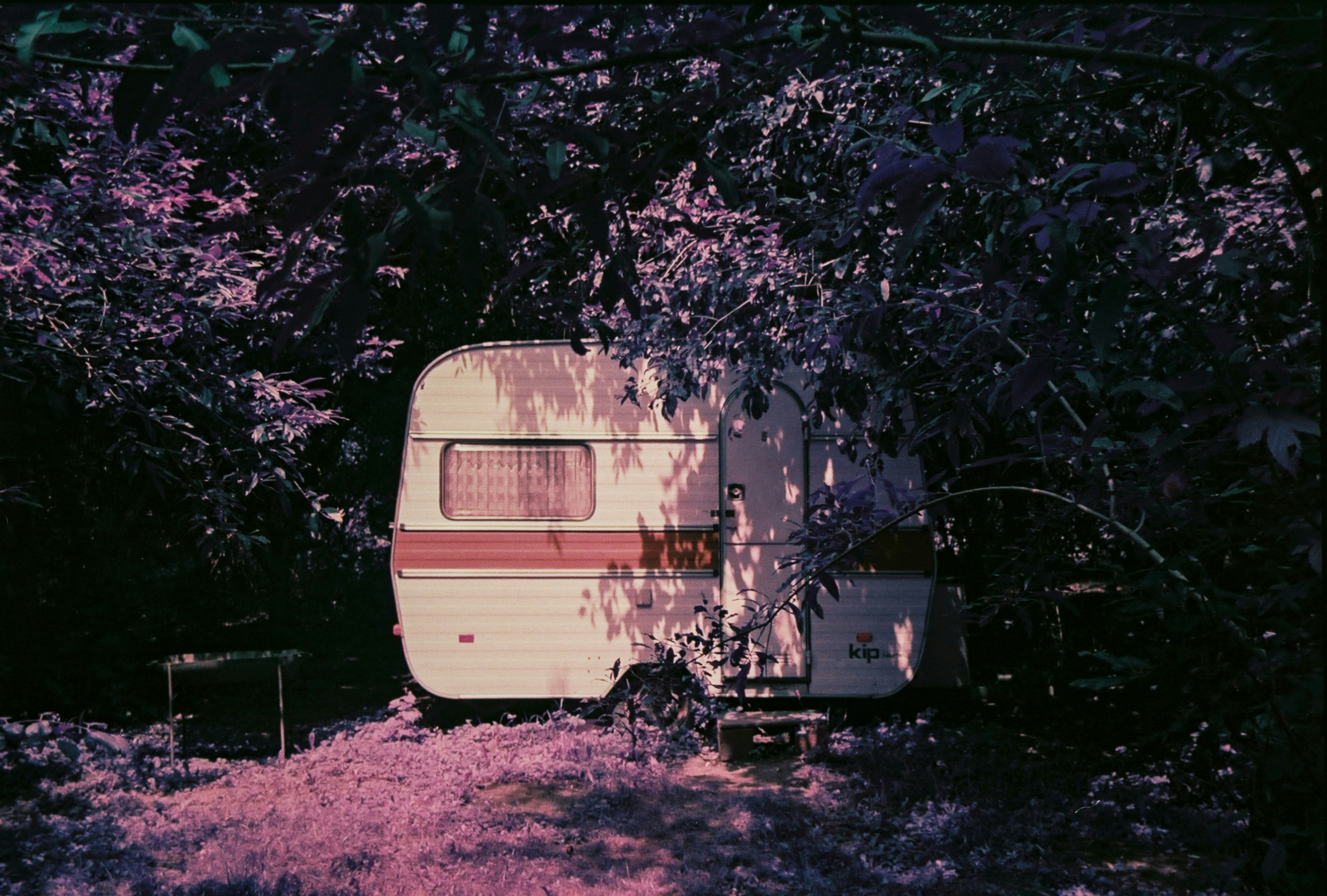 The Hidden Assumptions Behind Every Statistical Test