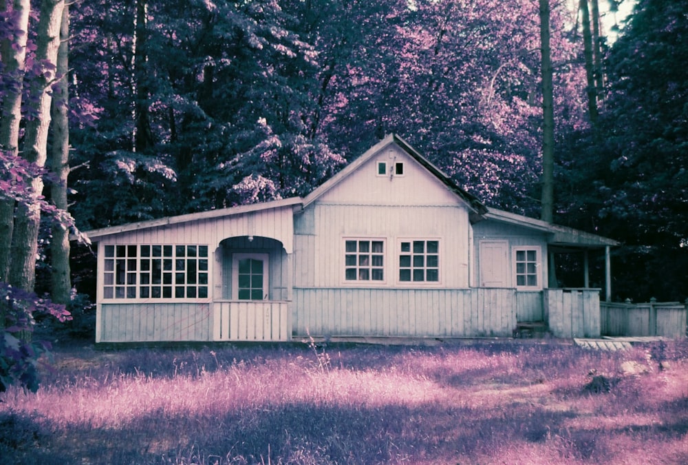 white wooden house near trees during daytime