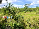 A lush landscape of terraced rice paddies surrounded by vibrant greenery and tall palm trees. A colorful sign spelling 'LOVE BALI' is prominently displayed in the foreground. The sky is mostly clear with a few clouds, adding to the serene and picturesque nature of the scene.