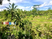 An engaging image of tourists enjoying activities in Bali.
