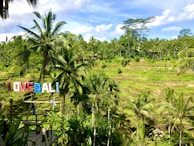 A lush landscape of terraced rice paddies surrounded by vibrant greenery and tall palm trees. A colorful sign spelling 'LOVE BALI' is prominently displayed in the foreground. The sky is mostly clear with a few clouds, adding to the serene and picturesque nature of the scene.