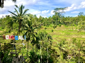 A lush landscape of terraced rice paddies surrounded by vibrant greenery and tall palm trees. A colorful sign spelling 'LOVE BALI' is prominently displayed in the foreground. The sky is mostly clear with a few clouds, adding to the serene and picturesque nature of the scene.