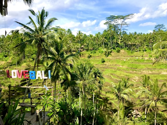 A lush landscape of terraced rice paddies surrounded by vibrant greenery and tall palm trees. A colorful sign spelling 'LOVE BALI' is prominently displayed in the foreground. The sky is mostly clear with a few clouds, adding to the serene and picturesque nature of the scene.