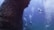 Several scuba divers explore an underwater rock formation teeming with small fish. Bubbles rise from the divers' breathing apparatus, and the water is a clear, vibrant blue.