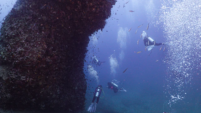 A diver exploring vibrant underwater rock formations in clear blue waters near Bursa.