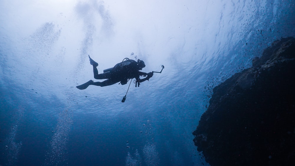 person in black diving suit under water