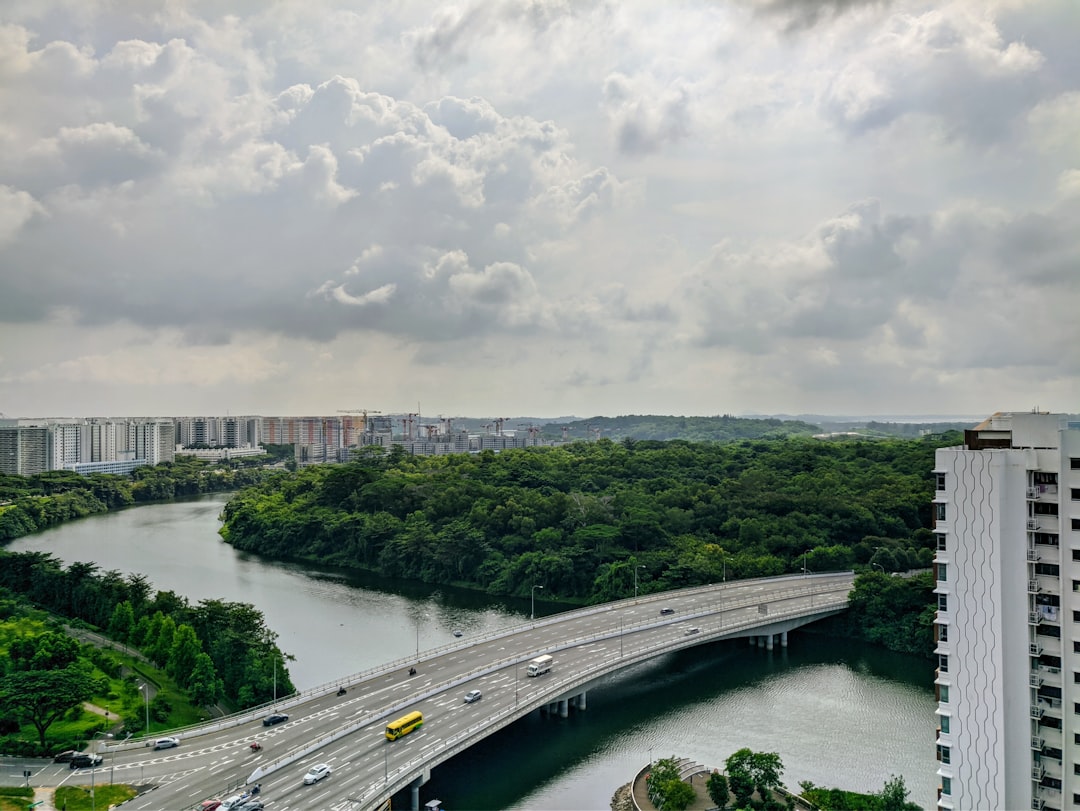 Bridge photo spot Upper Serangoon Crescent Jewel Changi Airport