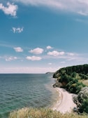 green trees on brown sand beach under blue sky during daytime