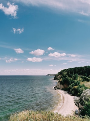 green trees on brown sand beach under blue sky during daytime