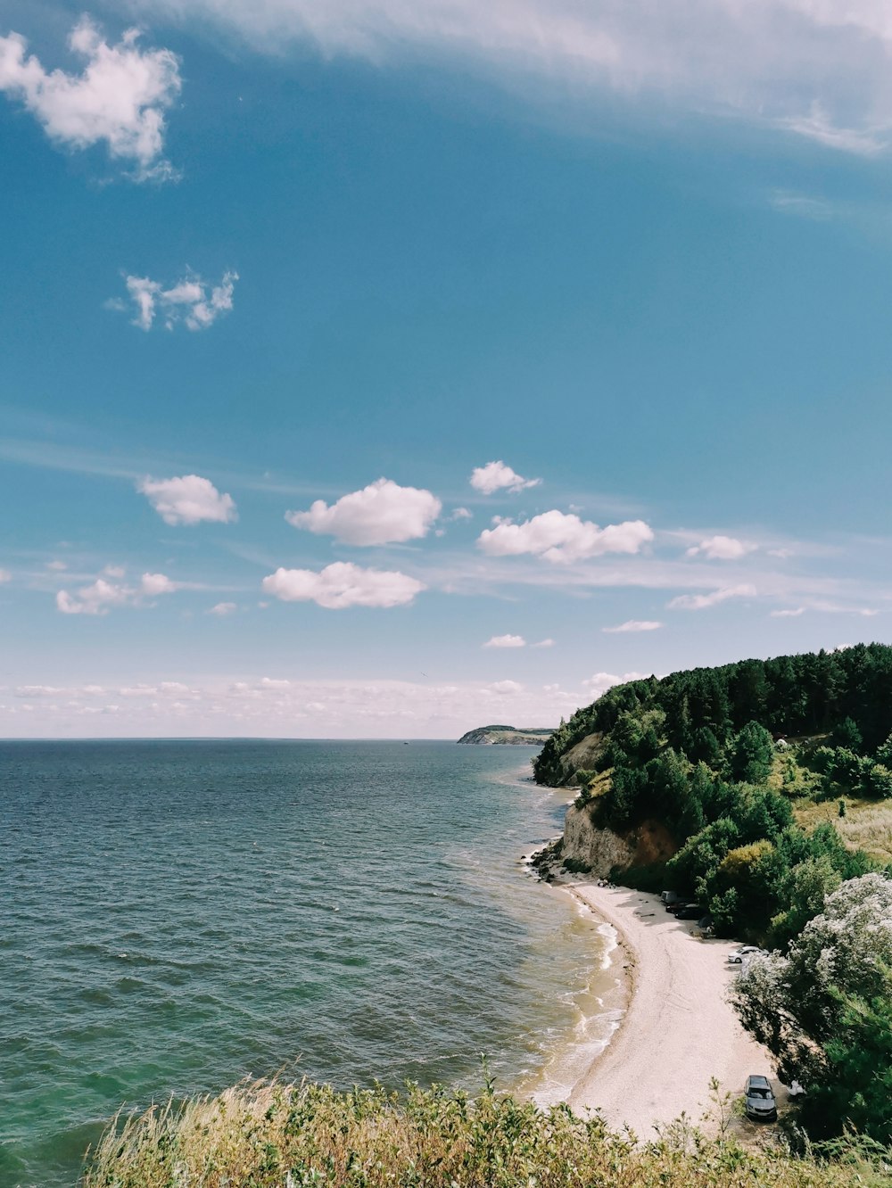 green trees on brown sand beach under blue sky during daytime