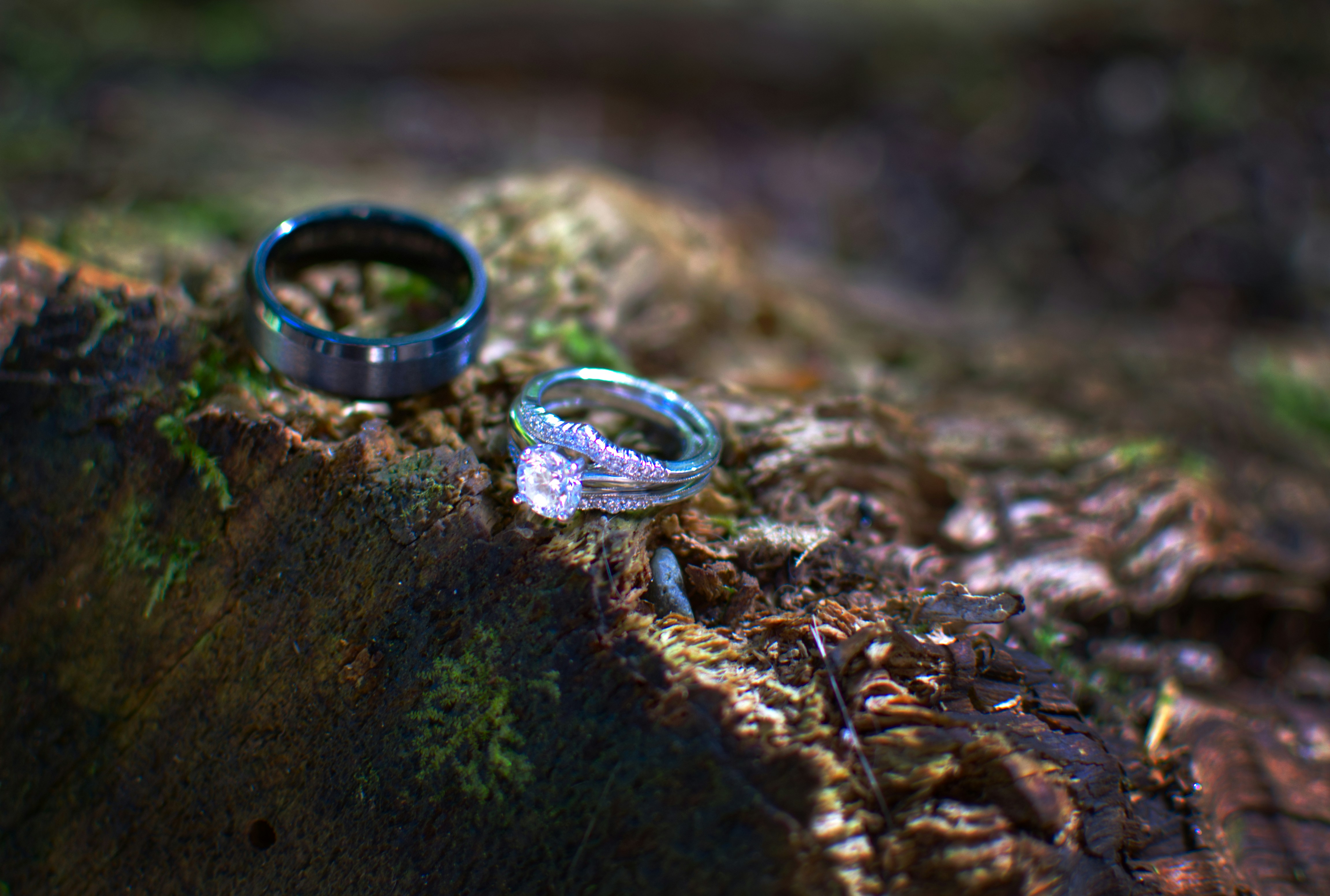 Photo by kingkonggeorge