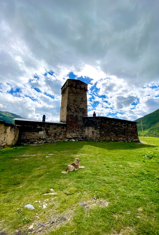 brown brick building on green grass field under blue sky and white clouds during daytime in Ushguli Georgia