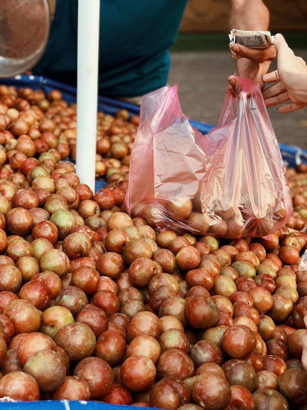 brown round fruits on plastic bags