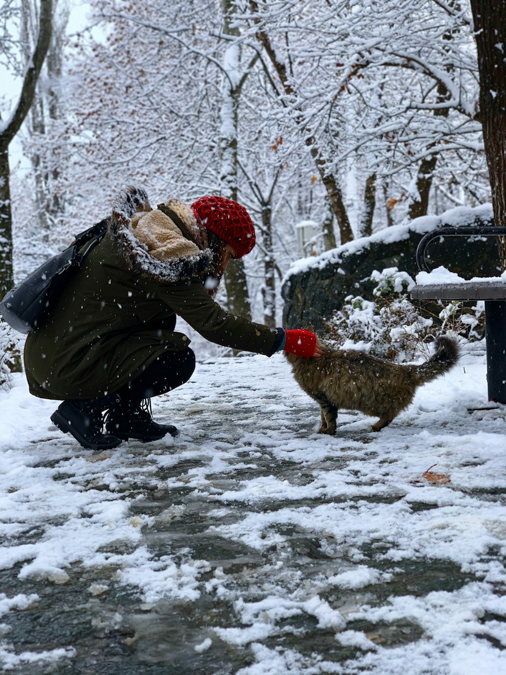 uomo in giacca nera e berretto a maglia rosso seduto su terreno coperto di neve con cane marrone