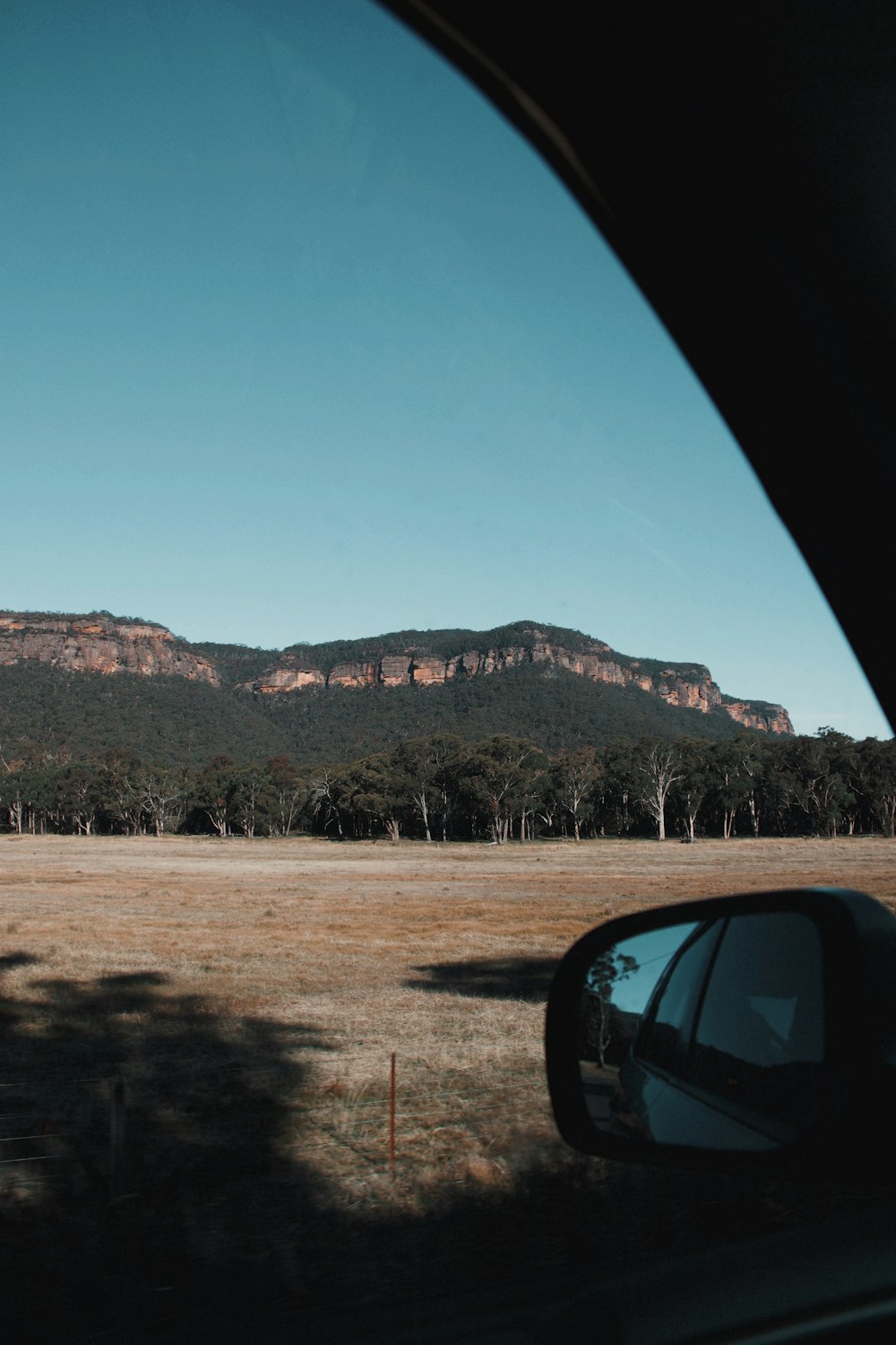 green trees and brown mountains during daytime