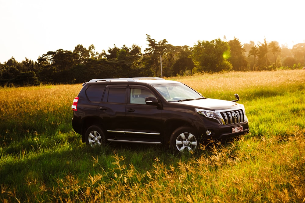 black honda suv on green grass field during daytime