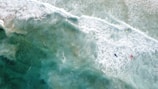 Three surfers are seen paddling out into the ocean, surrounded by foamy waves. The water appears clear and green, with waves rolling towards the shore.