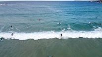 A group of surfers enjoying a lesson on the waves.