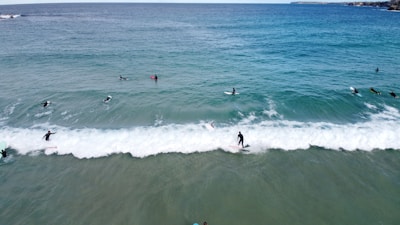 A group of surfers enjoying a lesson on the waves.