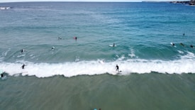 A group of surfers in wetsuits enjoying their time riding waves in the ocean. The clear blue water extends to the horizon, with visible surfboards and waves breaking near the shore. The scene captures the energy and excitement of surfing, with individuals positioned at various points in the water.