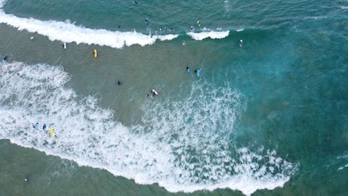 Aerial view of a group of people surfing in the ocean. The waves are white and foamy, contrasting with the darker blue-green water. Some surfers are riding waves while others are waiting for the next set. The scene is vibrant and dynamic, capturing the energy of the ocean and the thrill of surfing.